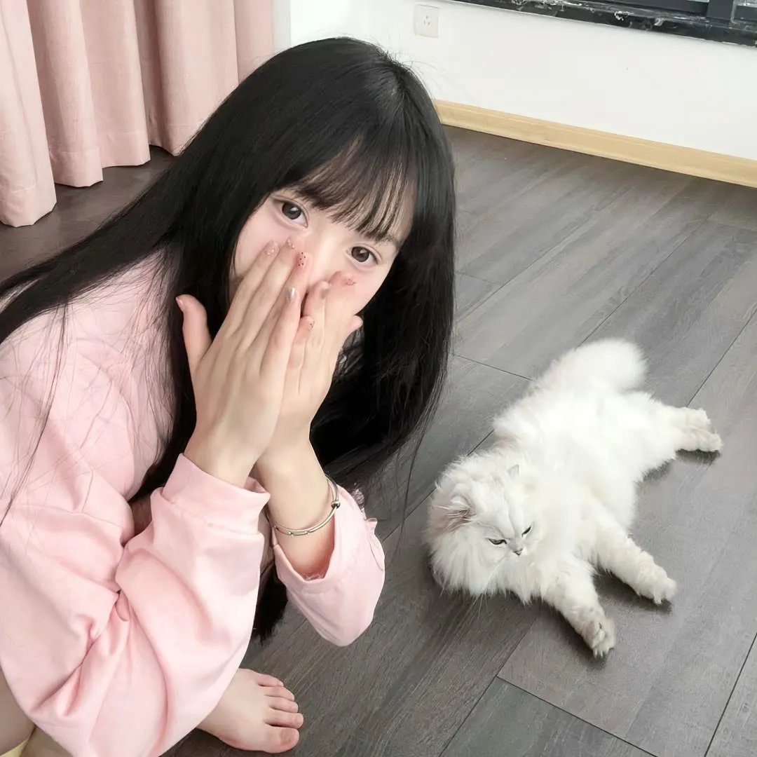 羊狼共和国：猪事大急